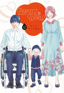 PERFECT WORLD GN VOL 12