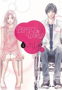 PERFECT WORLD GN VOL 01 (C: 0-1-0)