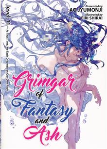 GRIMGAR OF FANTASY & ASH LIGHT NOVEL VOL 11 (C: 0-1-0)